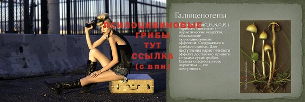 индика Покров