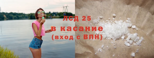 ПСИЛОЦИБИНОВЫЕ ГРИБЫ Арсеньев