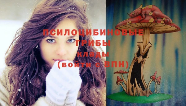 ПСИЛОЦИБИНОВЫЕ ГРИБЫ Арсеньев