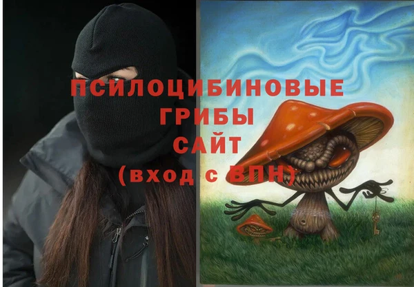 СК Аркадак
