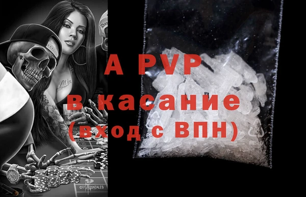 ПСИЛОЦИБИНОВЫЕ ГРИБЫ Арсеньев
