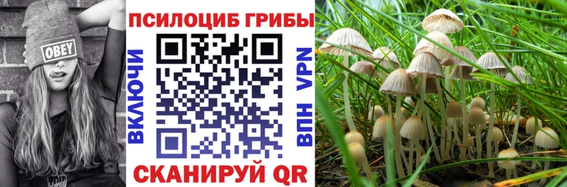 Галлюциногенные грибы Magic Shrooms  закладки  дарк нет клад  Ленск 
